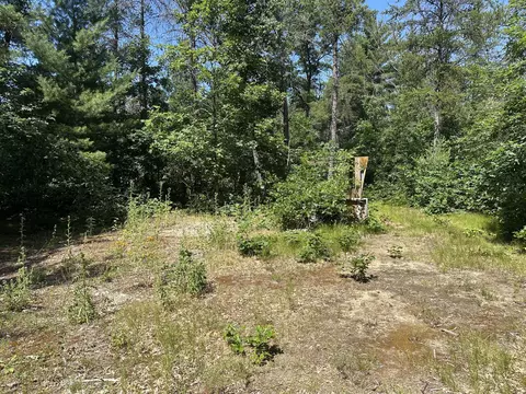 6667 S Dillard St, Baldwin, MI 49304 photo 3