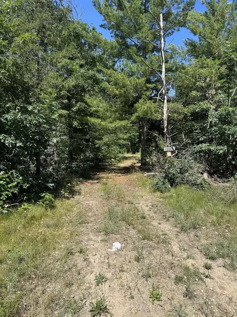 6667 S Dillard St, Baldwin, MI 49304 photo 2