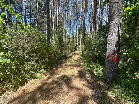3804 E Wilson Rd, Custer, MI 49405 photo 36