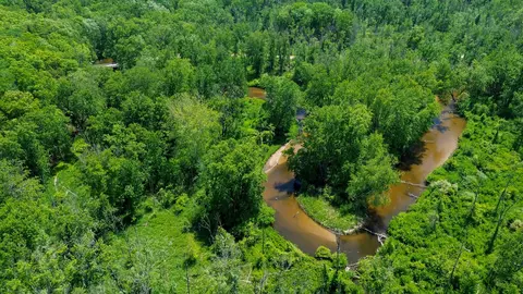 3804 E Wilson Rd, Custer, MI 49405 photo 6