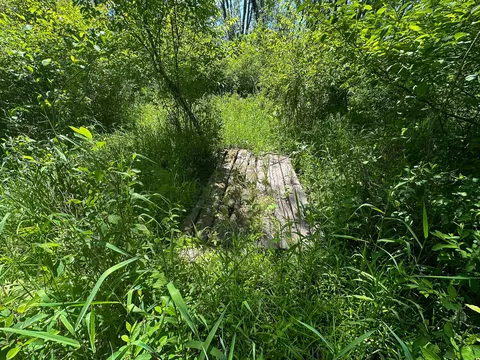 3804 E Wilson Rd, Custer, MI 49405 photo 19