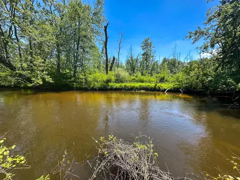 3804 E Wilson Rd, Custer, MI 49405 photo 4