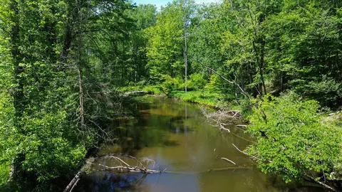 3804 E Wilson Rd, Custer, MI 49405 photo 23