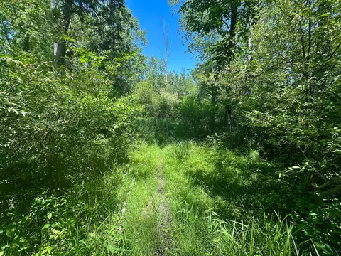 3804 E Wilson Rd, Custer, MI 49405 photo 18