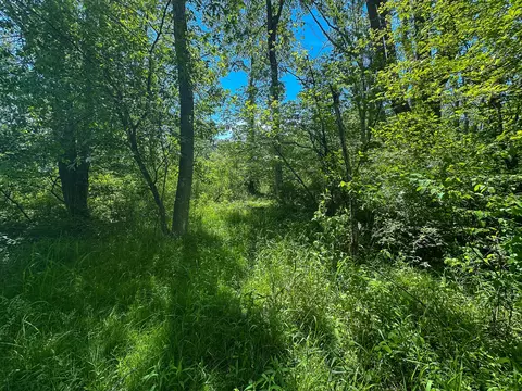 3804 E Wilson Rd, Custer, MI 49405 photo 20