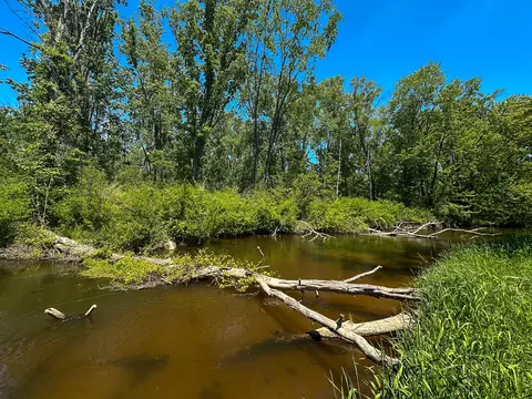 3804 E Wilson Rd, Custer, MI 49405 photo 22