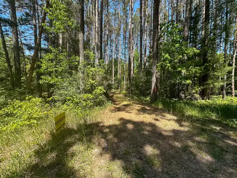 3804 E Wilson Rd, Custer, MI 49405 photo 35