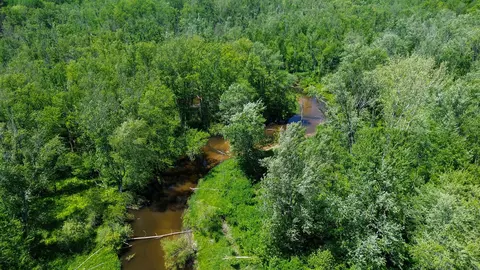 3804 E Wilson Rd, Custer, MI 49405 photo 26