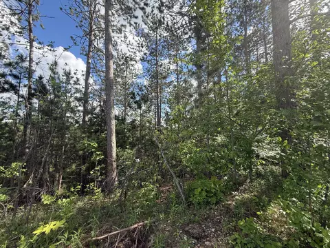 v/l bear paw trail, Vanderbilt, MI 49795 photo 2