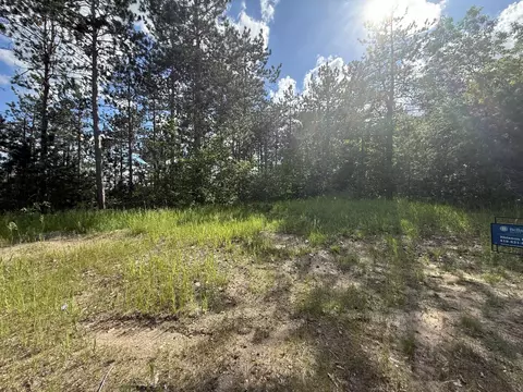 v/l bear paw trail, Vanderbilt, MI 49795 photo 3