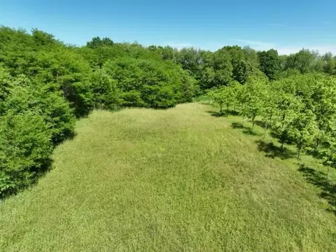 63531 Dailey Rd, Cassopolis, MI 49031 photo 15