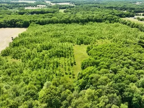 63531 Dailey Rd, Cassopolis, MI 49031 photo 13