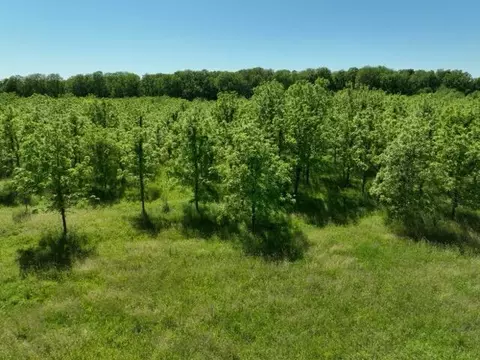 63531 Dailey Rd, Cassopolis, MI 49031 photo 14