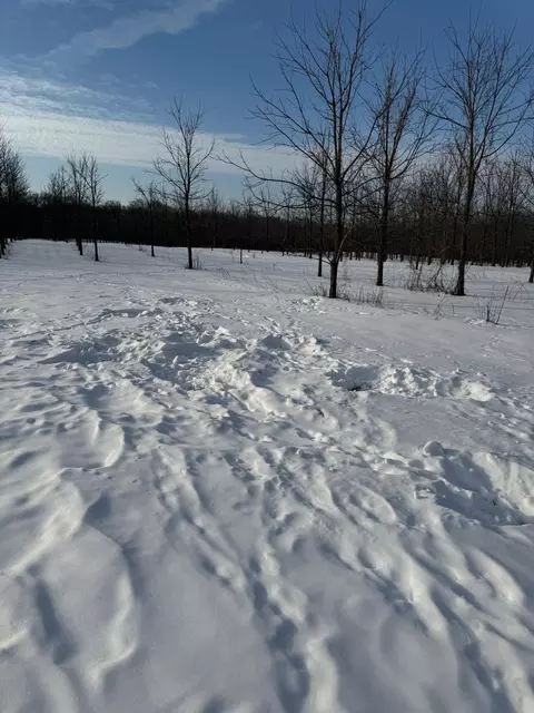 63531 Dailey Rd, Cassopolis, MI 49031 photo 43