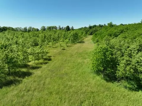 63531 Dailey Rd, Cassopolis, MI 49031 photo 16