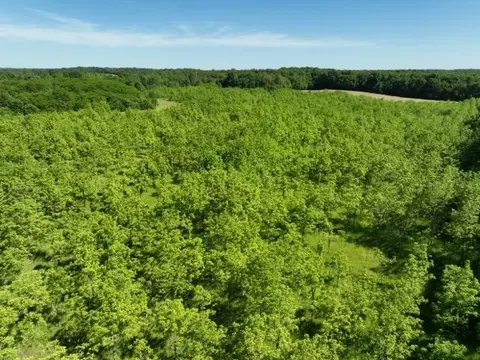 63531 Dailey Rd, Cassopolis, MI 49031 photo 33
