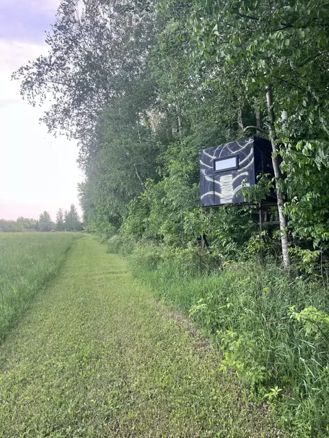 236 W Stone Rd, Deckerville, MI 48427 photo 24