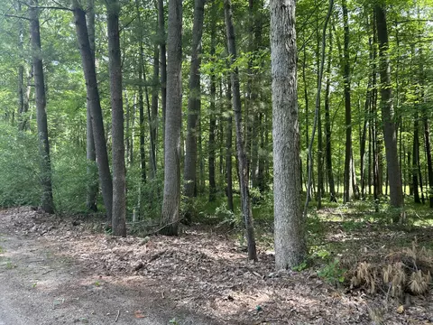 11409 Heather Ln #35, Canadian Lakes, MI 49346