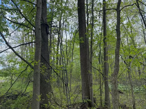 3 Bunkerhill Rd, Jackson, MI 49201 photo 13