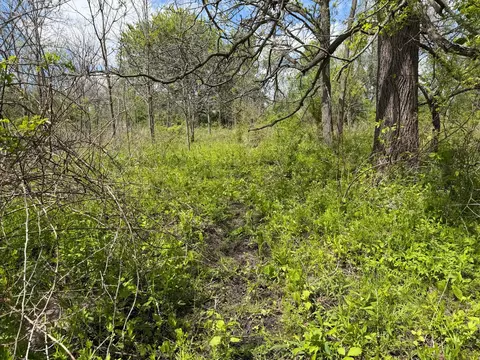 6 Bunkerhill Rd, Jackson, MI 49201 photo 22