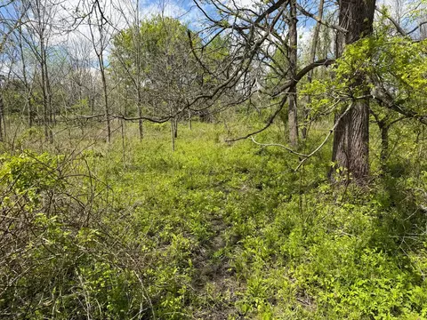 6 Bunkerhill Rd, Jackson, MI 49201 photo 23