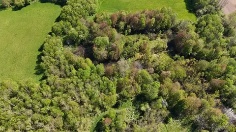 2665 E Wilson Rd, Custer, MI 49405 photo 6