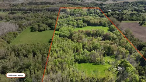 2665 E Wilson Rd, Custer, MI 49405 photo 3