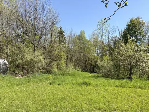 2665 E Wilson Rd, Custer, MI 49405 photo 17