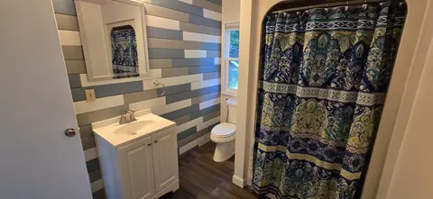 Bath - 211 Forest St, Marshall, MI 49068 photo 2 of 3