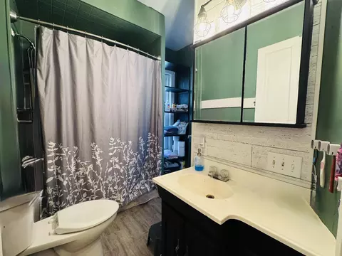 Bath - 315 N Maple St, Marcellus, MI 49067 photo 1 of 3