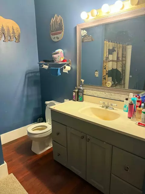 Bath - 126 S Main St, Montgomery, MI 49255 photo 2 of 3