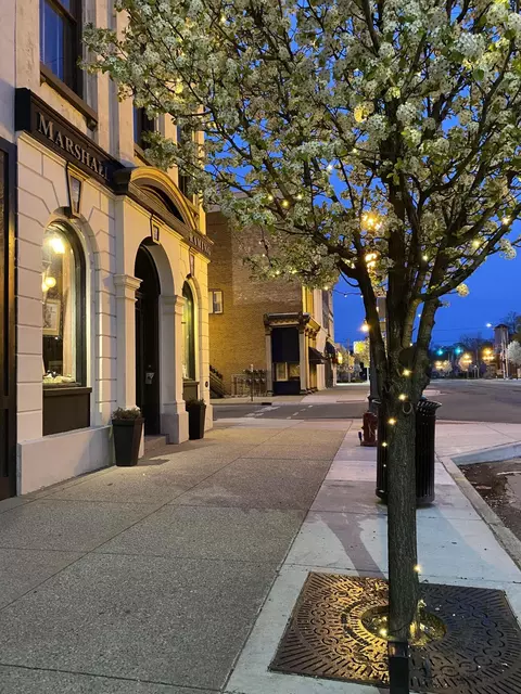 Other - 227 E Michigan Ave, Marshall, MI 49068 photo 15 of 16