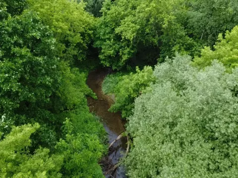 Vl Hough Road, Almont, MI 48003