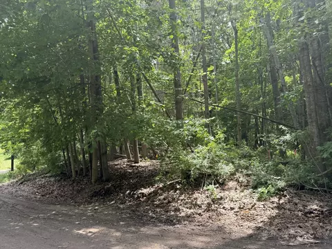0 Longbridge Rd, Pentwater, MI 49449