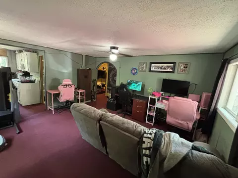 Living - 8967 W Bowling Green Blvd, Baldwin, MI 49304 photo 4 of 4