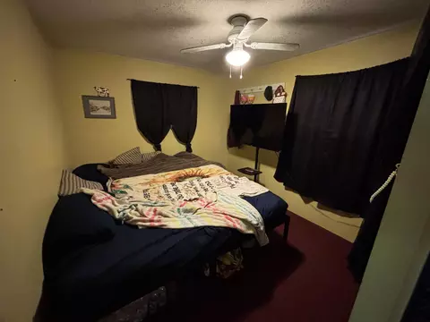 Bedroom - 8967 W Bowling Green Blvd, Baldwin, MI 49304 photo 1 of 1
