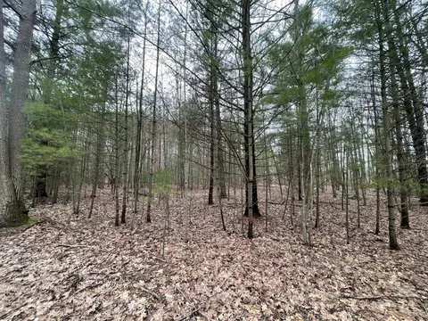 N Schoenherr Road, Free Soil, MI 49411