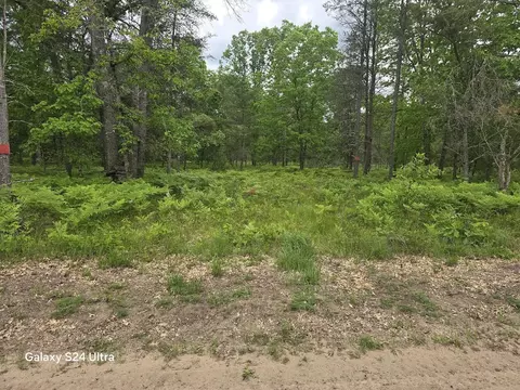 0000 S Forman Rd #3, Baldwin, MI 49304