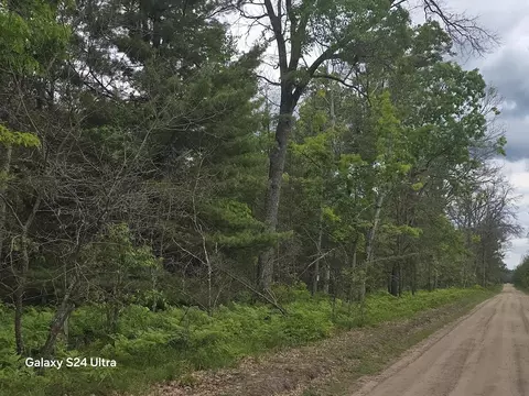 0000 S Forman Rd #3, Baldwin, MI 49304 photo 3