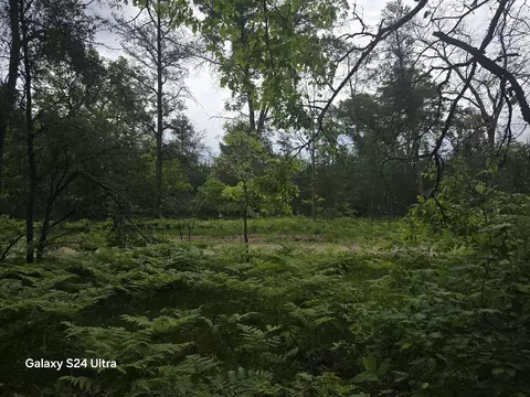 0000 S Forman Rd #3, Baldwin, MI 49304 photo 5