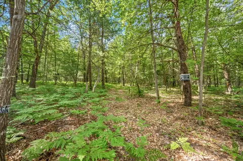 8642 E Kinney Rd, Branch, MI 49402 photo 26