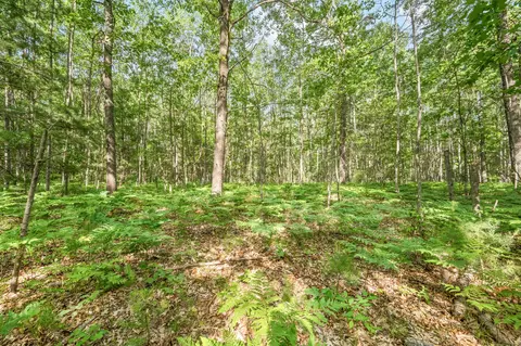 8642 E Kinney Rd, Branch, MI 49402 photo 22