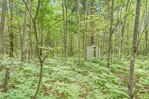 8642 E Kinney Rd, Branch, MI 49402 photo 28