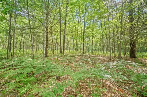 8642 E Kinney Rd, Branch, MI 49402 photo 21