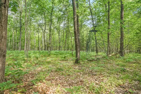 8642 E Kinney Rd, Branch, MI 49402 photo 23