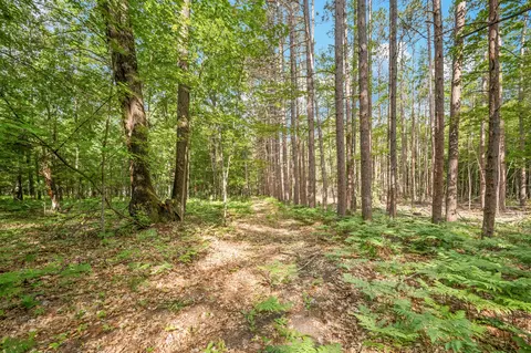 8642 E Kinney Rd, Branch, MI 49402 photo 25