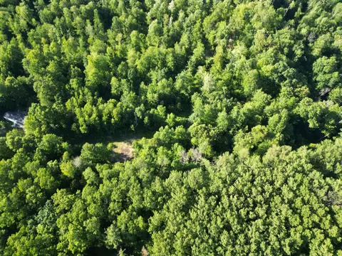 5170 Rocky Top Parcel B Ln, Pierson, MI 49339