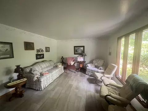 Living - 250 E 88th St, Newaygo, MI 49337 photo 2 of 4