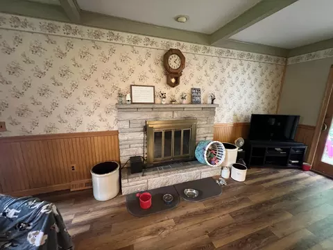 Living - 250 E 88th St, Newaygo, MI 49337 photo 3 of 4
