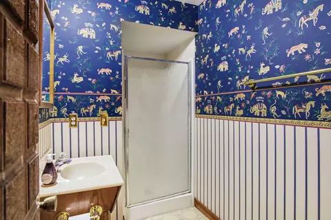 Bath - 540 Roundtree Dr NE, Ada, MI 49301 photo 3 of 4